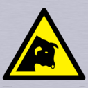 w034-warning-bull~